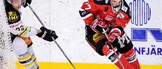 Fyra från länet gick upp i SHL