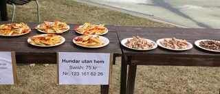 På marsch för hemlösa hundar