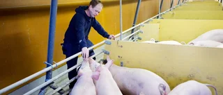 "Vi är besvikna"