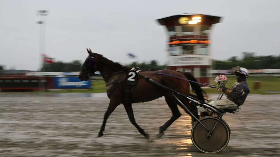 BLÖTT. Squid (Jenny Engfors) vann V64-3 i Skellefteå tisdag kväll. Sikforsamatören Christine Axelsson tränar hästen.