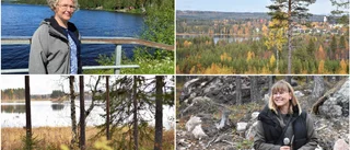 Köpte marken för några år sedan – nu vill kommunen göra det möjligt att bygga småhus på Långholmen