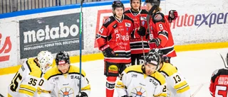 Draget kring laget – det blåser medvind för Piteå Hockey: "Ett sug efter framgång"