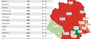 Dystra siffror i ranking av företagsklimat – men Boden fortsätter klättra