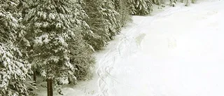 Piteås första skicrossbana