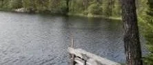 Inga bakterier funna i Holmsjön
