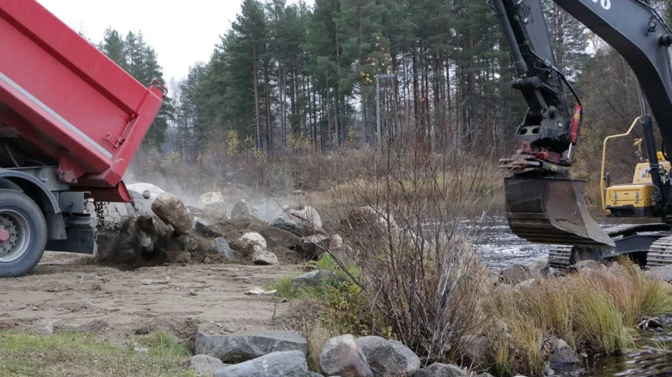 Lass på lass med stora stenar tippas på marken bredvid Alterälven för att sen sättas i vattnet. 300 kubik sten behövs för att bredda forsen.