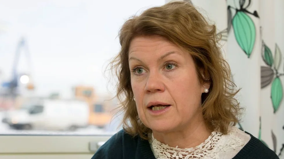 Märkligt. "Lite märkligt är att vi tvingas stå för vinterhållningen till havs medans väg-, tåg- och flygtrafikens subventioneras", säger Ulrika Nilsson vd för Piteå hamn.