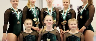 Medaljregn över Älvsbyn