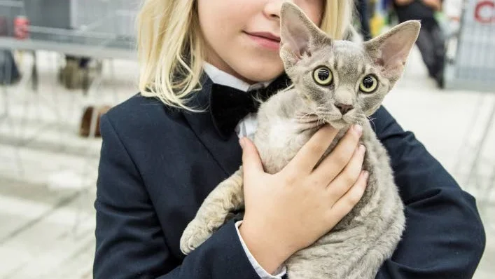 PÅ UTSTÄLLNING. Joar Mikaelsson tillsammans med sin katt "Pojken".