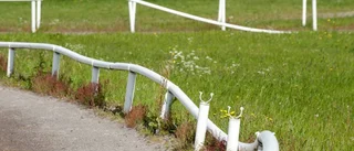 Polisen prioriterar upp ärendet