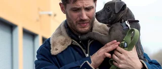 Tom Hardy briljerar...