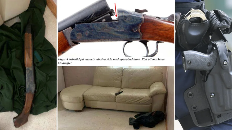 Skelleftebon döms till fängelse i ett år och åtta månader för fyra brott – däribland vapenbrott – men han frias för två misstänkta våldtäkter.