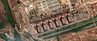 IAEA: Reservlinan i Zaporizjzja inte skadad
