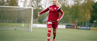 Talangens succésäsong