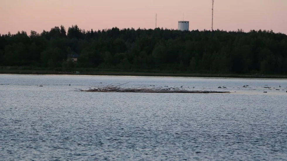 Virkeshögen har strandat på grundet mitt i Piteälven utanför Hemlunda.