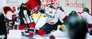 Ny derbytorsk för Piteå