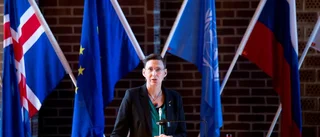 Socialförvaltningen ska utredas