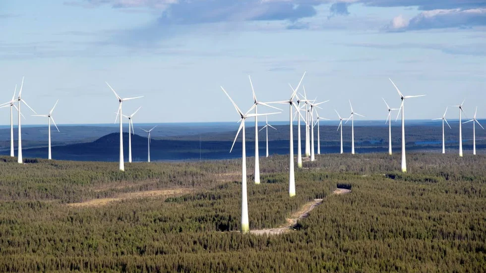 200 meter. I Markbygden får vindkraftverken ha en totalhöjd på 200 meter. Något som Piteå kommun inte vill tillåta i Blåsmark. (Arkivbild)