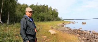 Spännande växter på våra stränder