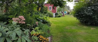 Ljuvliga sommarminnen