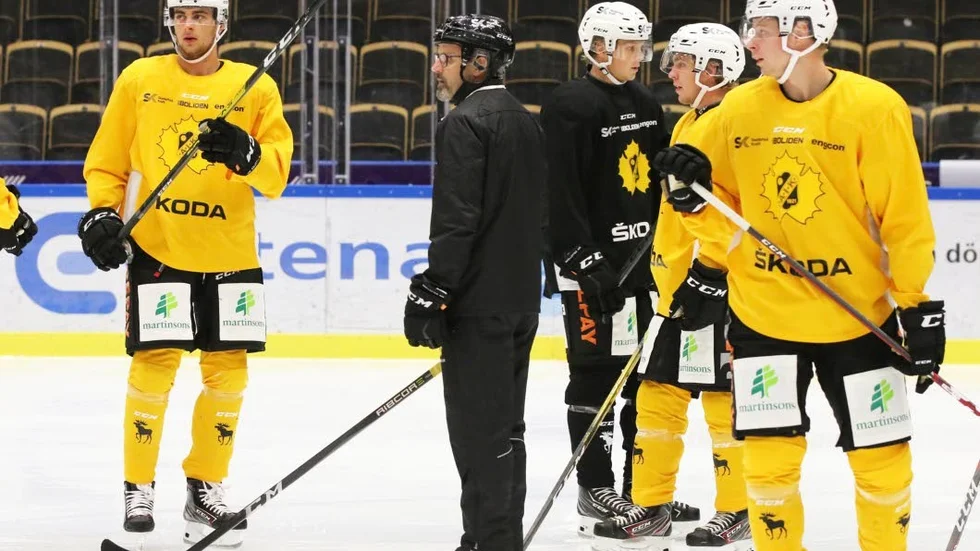 Tommy Samuelsson finns kvar som huvudtränare i ett ­Skellefteå som denna säsong mönstrar ett ungt lag.