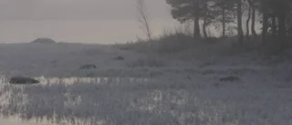 Konsten att avfolka en bygd