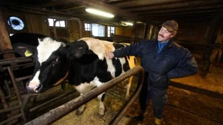 - Tack vare att Arlas mjölkpris till oss bönder stigit så kraftigt, tycker vi att det är läge att satsa på mjölkproduktion igen, säger Fredrik Carlberg som driver en bondgård på Vikbolandet tillsammans med frun Jessica.