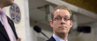 Moraliskt gungfly