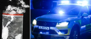 Gotlänningen ertappades med knark och tårgas