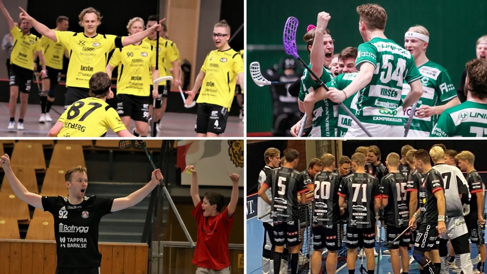 Dags för en ny säsong i herrarnas division 1-innebandy, med Berg, Ledberg, Linköping FBC och Solfjäderstaden i samma serie. Premiär nu i helgen och läs hur snacket går i lagen inför seriestarten. Både Berg och Ledberg vill kvala till allsvenskan.
