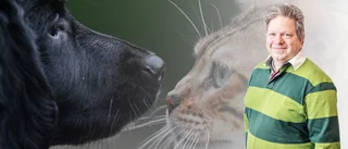 "Det finns inslag av hund och katt i Ulf Kristerssons regeringsunderlag"