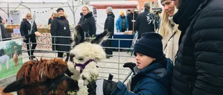 Folk njöt av julstämningen i Mariefred