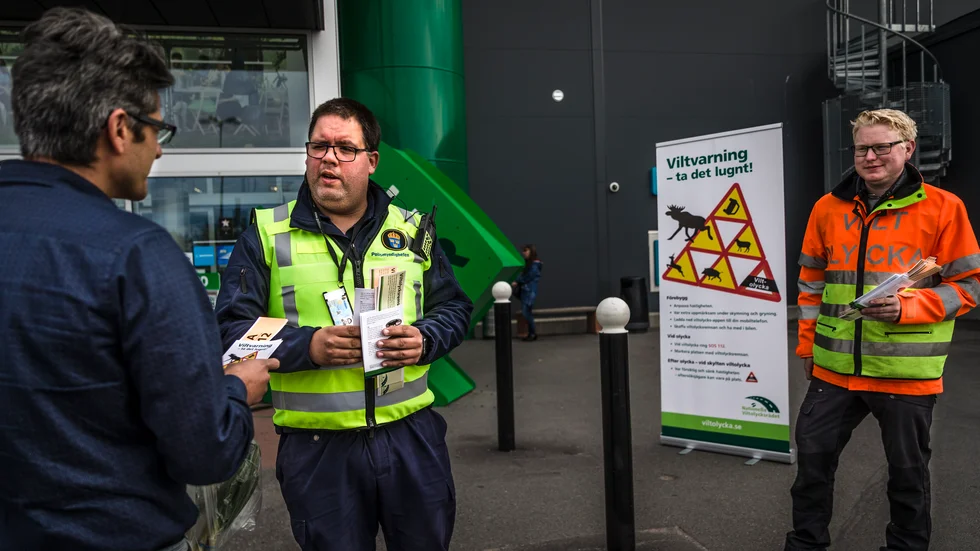 Nu i veckan pågår en informationskampanj om viltolyckor. Här ger civilpolisen Fredrik Engström och eftersöksjägaren Gunnar Cederberg tips till förbipasserande utanför Coop i Boländerna.