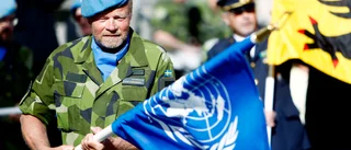 Moderat motion om veterandag nobbas