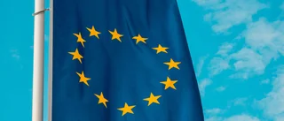 Begränsat användningsområde för EU-fonder kan missgynna norra Sverige