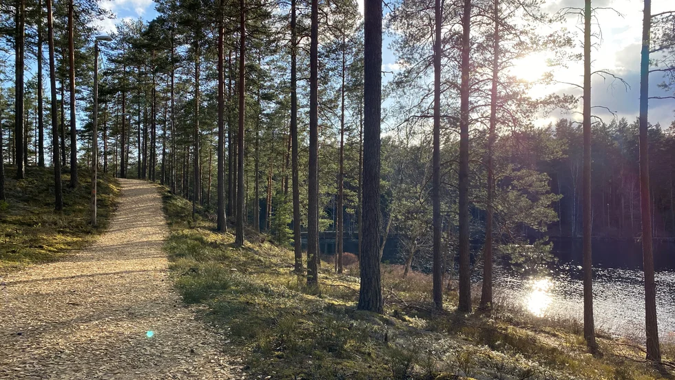 Motionsspåret i Mariannelund, som slingrar sig runt sjön Skruven, är väl värt ett besök. Start och mål sker vid Slättvallen.