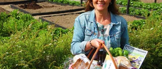 Bästa tipsen för den östgötska picknickkorgen