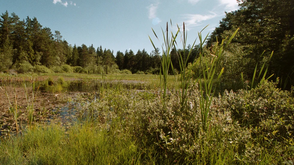I samband med byggplanerna i Bergsbrunna och Säjva skulle Stordammen kunna grävas ur och göras till en badsjö, skriver Mats Åkerblom