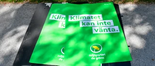 Gardfjell: alla vinner på Miljöpartiets politik