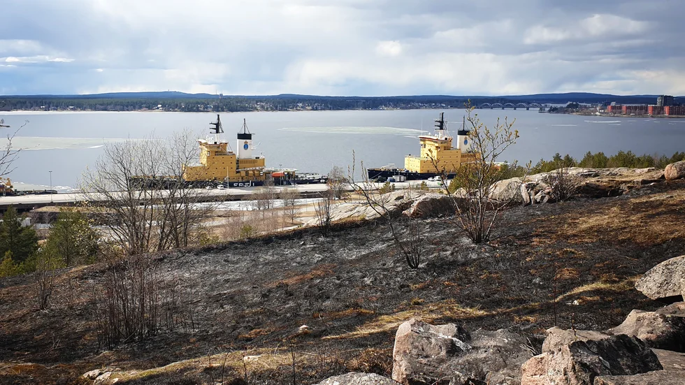 Stora brända områden på Svartöberget i Luleå. 