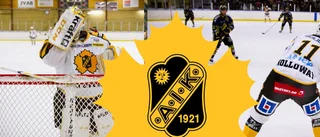 Hockeyresa till Göteborg      