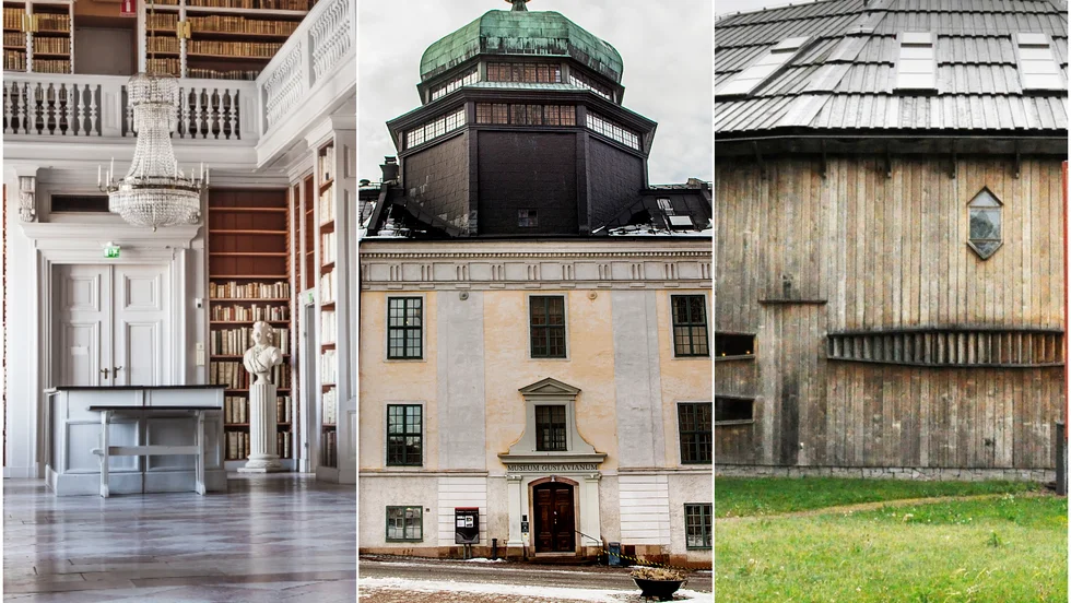 Caronia Rediviva, Gustavianum och Gamla Uppsala museum hör till de platser som kan besökas digitalt under Museinatten.