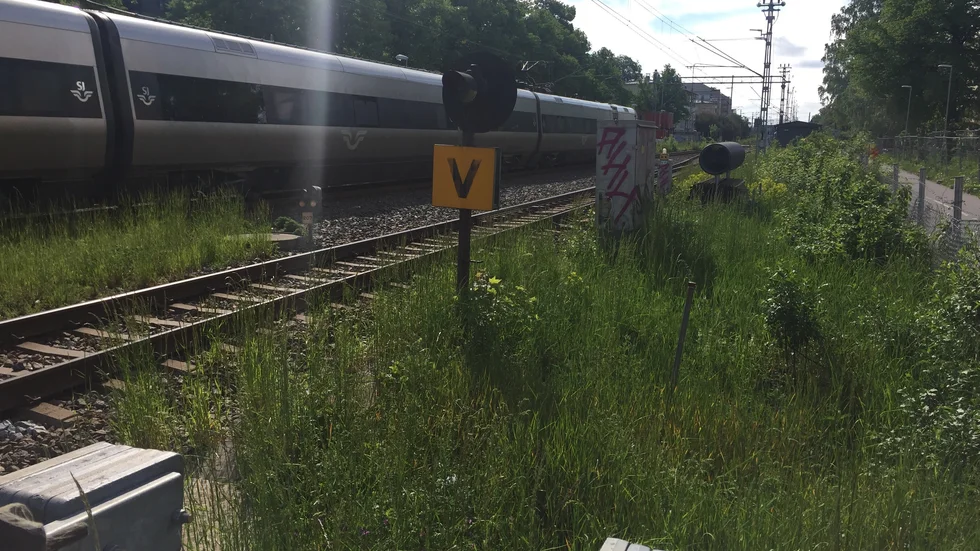 Rensa genast banvallen i centrala Uppsala, skriver Hans Hansson.