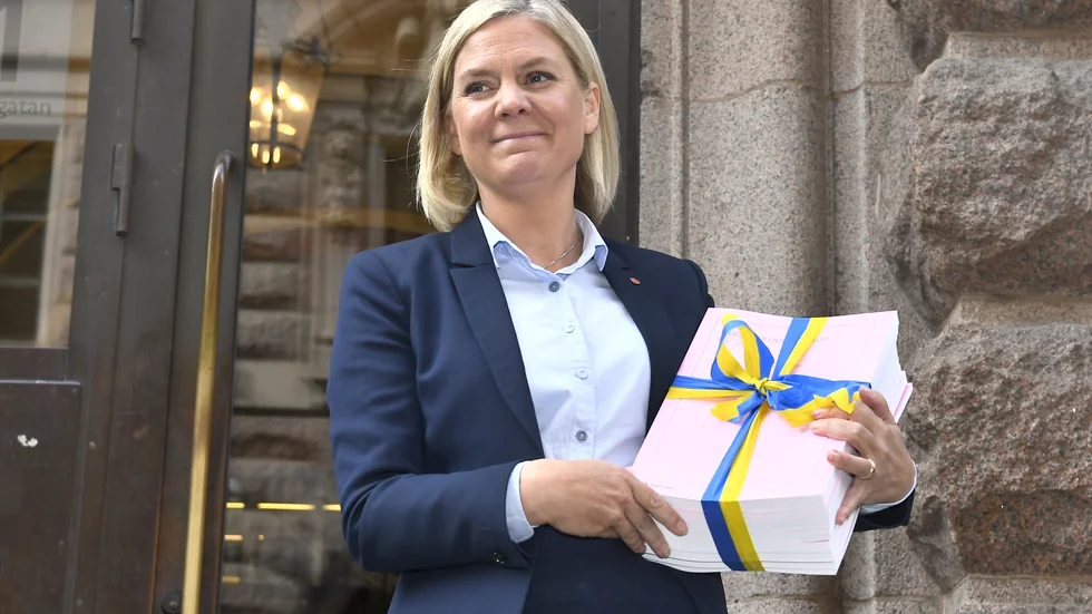 Finansminister Magdalena Andersson (S) beskrivs av experter som en trolig efterträdare till Stefan Löfven. Men hon har flera utmanare till rollen som partiordförande och statsminister, bland annat Knivstabon Ardalan Shekarabi.