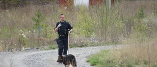 Rymling hittades av hundpatrull