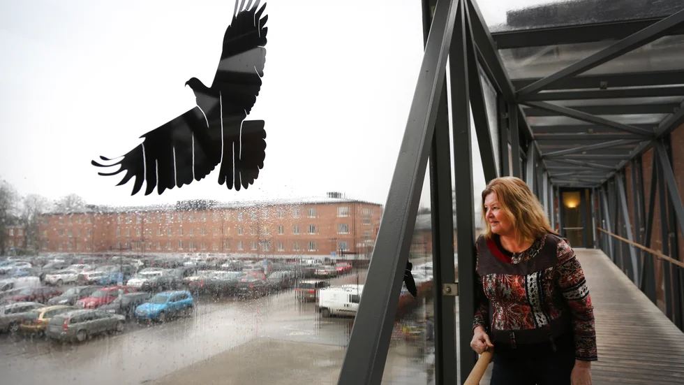 Ekostrateg Helena Andersson säger att mycket har hänt sedan biogasstrategin beslutades.