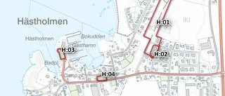 Kommunens plan för 100 nya bostäder