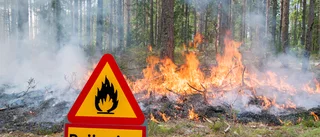 Naturvårdsbränning på Gotska Sandön skjuts upp