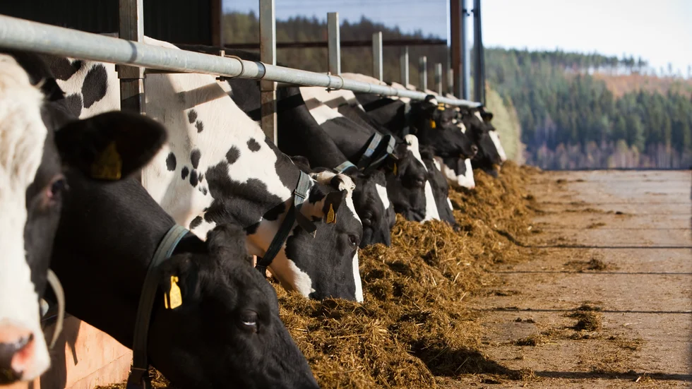 Tydligast är trenden med minskat förtroende för att matproduktionen i Sverige ska räcka till bland invånare i Norra Sverige och Göteborgsområdet.
