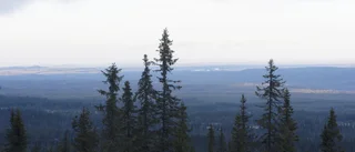 Kvinna svårt skadad i skoterolycka